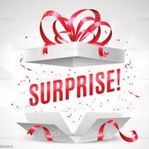 Small Fashion Nova Mystery Clothing Bundle